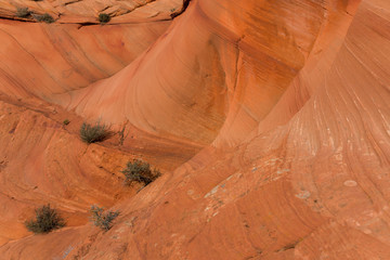 Amazing view of the coyote buttes, Utah
