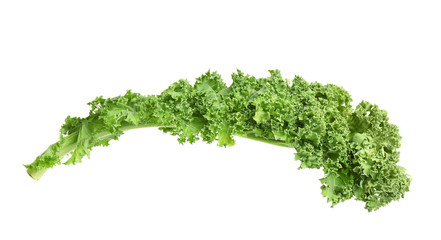 Obraz premium Fresh green kale leaf isolated on white