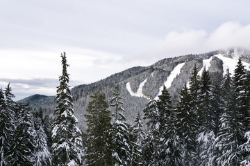 winter landscape near vancouver, snowshoeing in the mountains