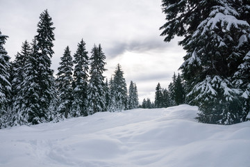 winter landscape near vancouver, snowshoeing in the mountains, bright afternoon