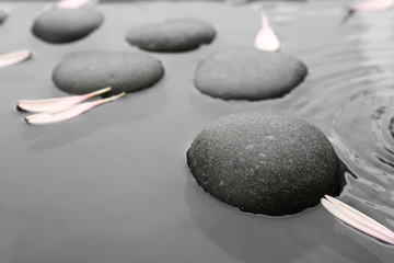 Spa stones and pink flower petals in water, closeup. Zen lifestyle