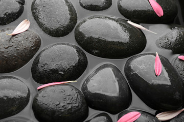 Spa stones with pink flower petals in water. Zen lifestyle