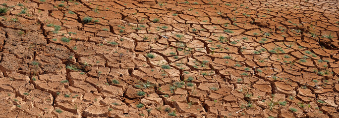 Dry water source,Drought,Cracked soil,copy space background
