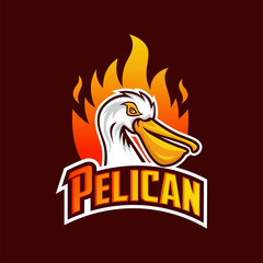 pelican sports logo vector illustration