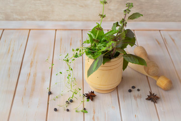 Fresh herbs in the copper mortar on the shabby wooden planks table.