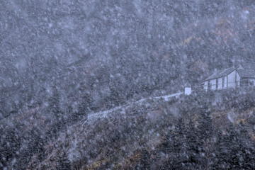 Sudden blinding snow squall on Newfoundland mountainside with house perched on it nobody