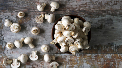 Raw champignons in a bowl. Selective focus. Macro.
