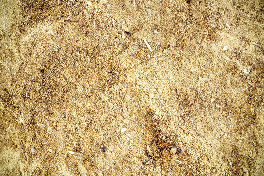 Detailed Close Up View On Sandy Ground And Dirt Textures In High Resolution