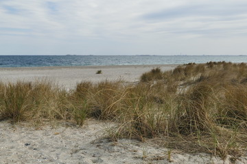 Strandspaziergang in den Dünen