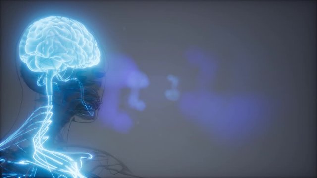 science anatomy scan of human brain glowing