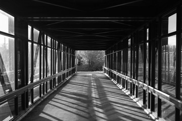 pedestrian pathway above highway, golden light shining creating shadows. green forest in the end. Black and white.