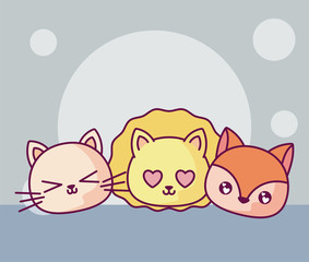 kawaii lion cat and squirrel cartoon vector design