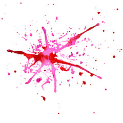 Abstract Watercolor Red and Pink Blot with Splashes Isolated on White Background.