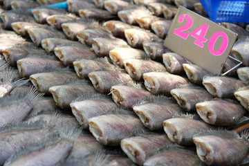 Chachoengsao,Thailand-December 5, 2019: Fish sold at open market in Chachoengsao, Thailand
