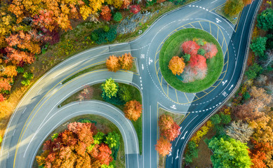 Roundabout Color  © Mark Lotterhand