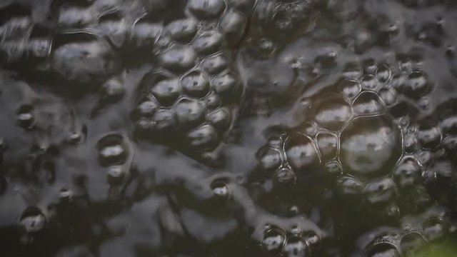 Macro Stream Bubbles