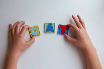 The word CAT. Hands of the child hold letters. Alphabet. Learn letters with a child. ABC
