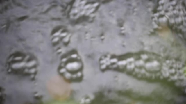 Macro Stream Bubbles