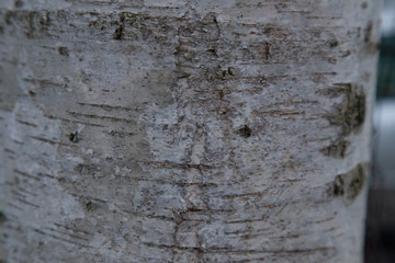 Textures from an English village