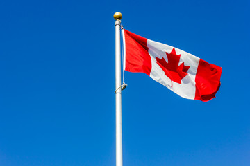 Flag of Canada Canadian flag on a blue background