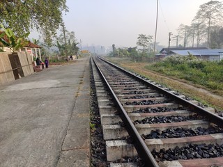 Naklejka premium Railway track alone in forest