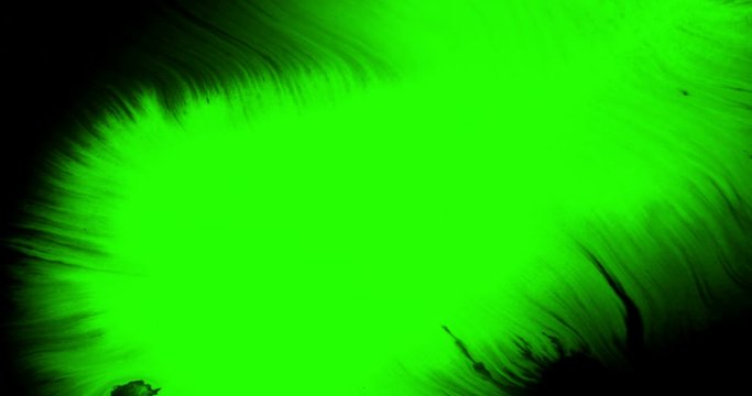 abstract paint brush stroke shape white ink splattering flowing and washing on chroma key green screen, ink splatter splash effect