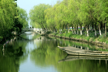 The weeping willows on the riverside are flourishing and very beautiful, this is the spring scenery on both sides of the ancient canal in Jiangnan, China
