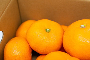 ダンボール箱のみかん