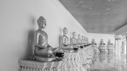 Row of golden Buddhas, black and white tone