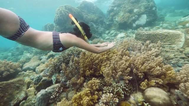 Young brunnette woman snorekeling and swimming under the sea.