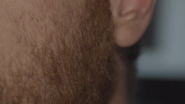 Close up of male bearded sideburns