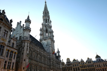 ベルギー ブリュッセル Grand Place 昼間 風景