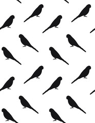 Vector seamless pattern of black budgie parrot silhouette isolated on white background