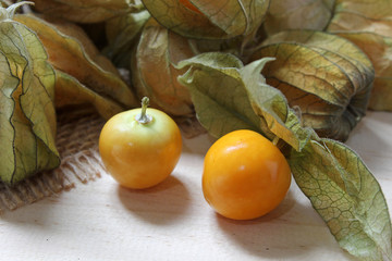 Peruvian physalis fruit, original from the Andean region