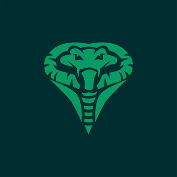 king cobra logo template design Vector illustration