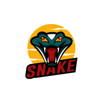 king cobra logo template design Vector illustration