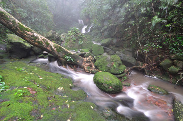 Waterfall in deep forest