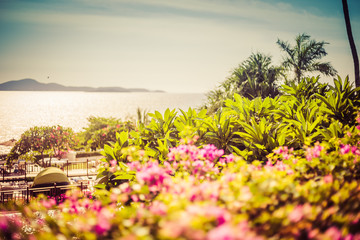 Beautiful landscape of the sea, flowers, palm trees on a summer sunny day.