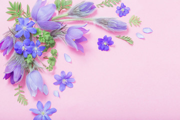beautiful spring flowers on pink background