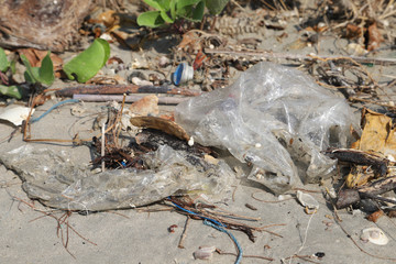 Plastic bag on the beach,garbage on the beach