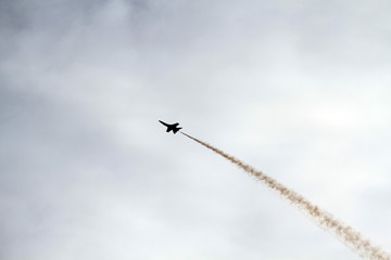 F-18 Blue Angel streaks across the shore