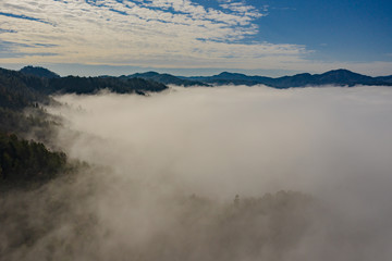 京都　亀岡　雲海　空撮　自然　冬　旅　広告　素材　晴れ　DJI ドローン　空撮