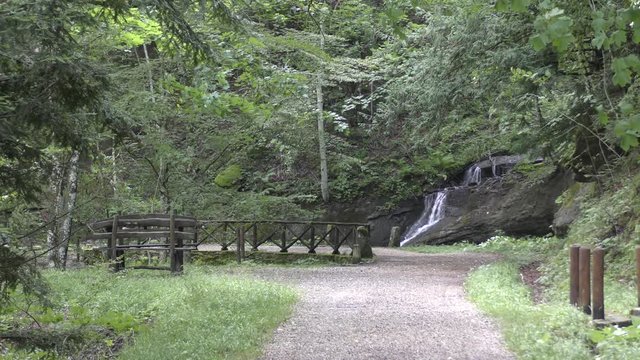 Campigna -  parco delle foreste casentinesi