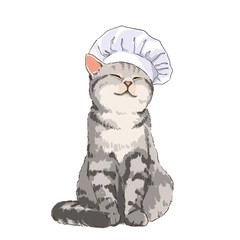 Cat chef