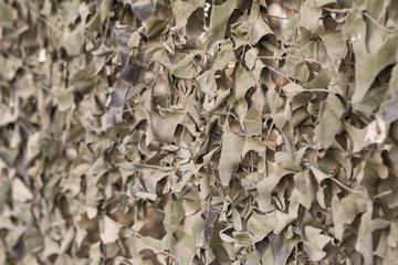 Fence covered with a camouflage net under dry foliage
