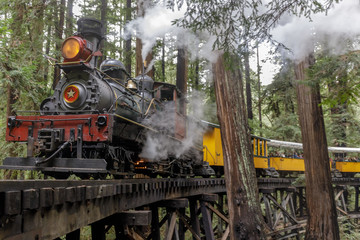Steam train passing through redwood forest. Felton, Santa Cruz County, California, USA. 