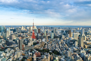 Naklejka premium widok z lotu ptaka miasta Tokio, Japonia