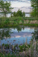 Reflections of clouds on a pond in summer