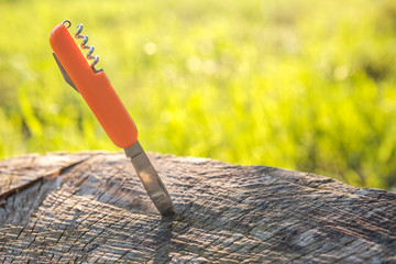a penknife of orange color stuck in a stump