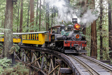 Steam train crossing an old trestle through redwood forest. Felton, Santa Cruz County, California, USA.